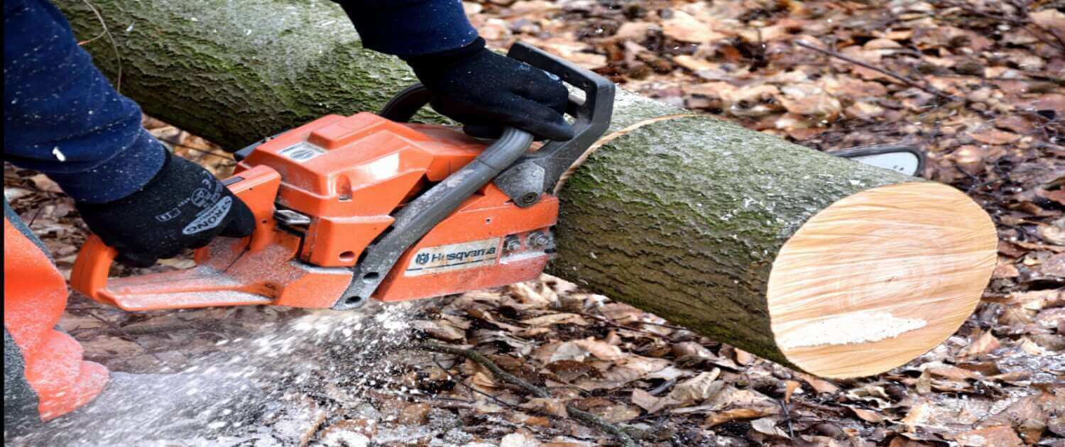 Best Chainsaws In 2024 Reviews & Buying Guide