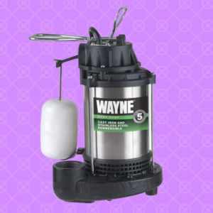 best sump pumps